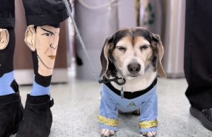 Pensacola International Airport Goes Intergalactic for Pensacon