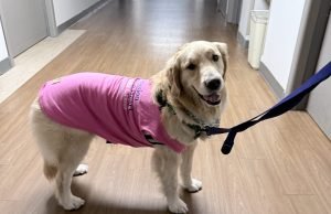 Meet Joy, the newest (and fluffiest) member of Sacred Heart’s trauma team