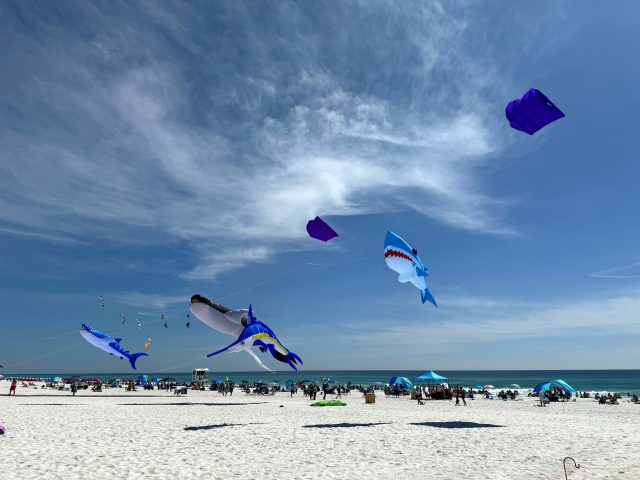 Kites on the Coast COAWFLA horiz