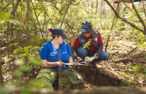 UWF Archaeology Institute survey uncovers pre-Columbian Artifacts