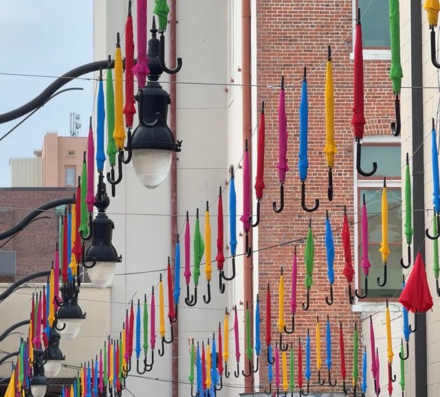 Local Pulse Umbrella Alley