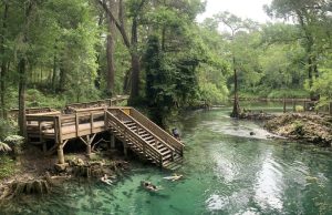 6 Florida Springs You Should Visit This Summer