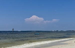 Ascension Sacred Heart, Visit Pensacola Launch Free Summer Safety Training Series for Hospitality Workers