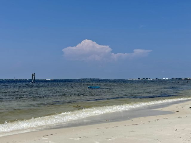 Local Pulse Summer Safety Series
