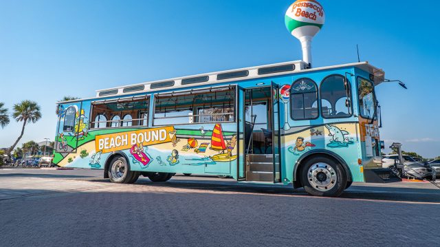 Local Pulse SRIA beaech trolley