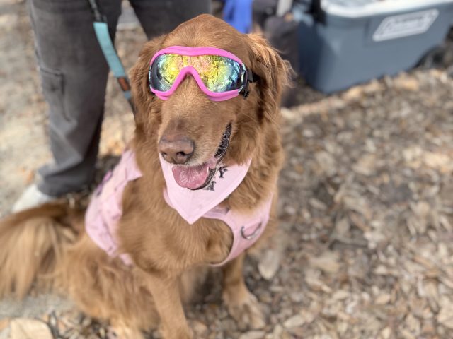 Barktoberfest 2026