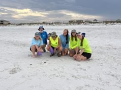 Escambia County Celebrates First Sea Turtle Hatch on Pensacola Beach