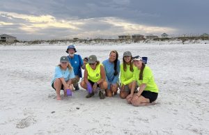 Escambia County Celebrates First Sea Turtle Hatch on Pensacola Beach